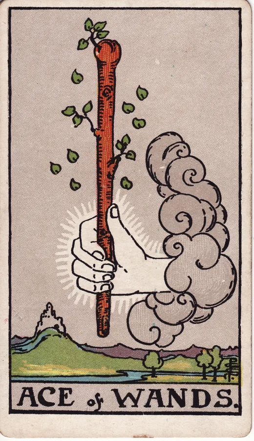 Ace of Wands tarot card (Rider-Waite-Smith)