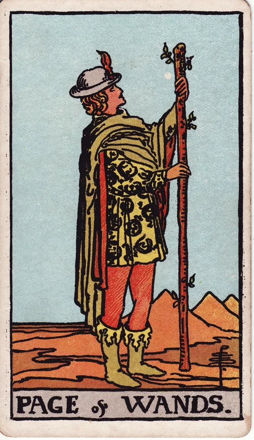 Page of Wands tarot card (Rider-Waite-Smith)